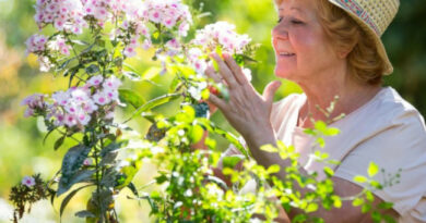 Le jardinage est thérapeutique dans la lutte contre la démence