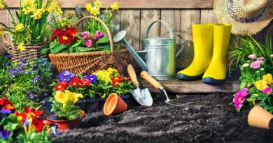 les avantages du jardinage pour la santé