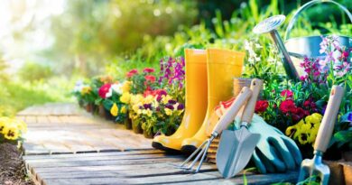 Outils indispensables du jardinier